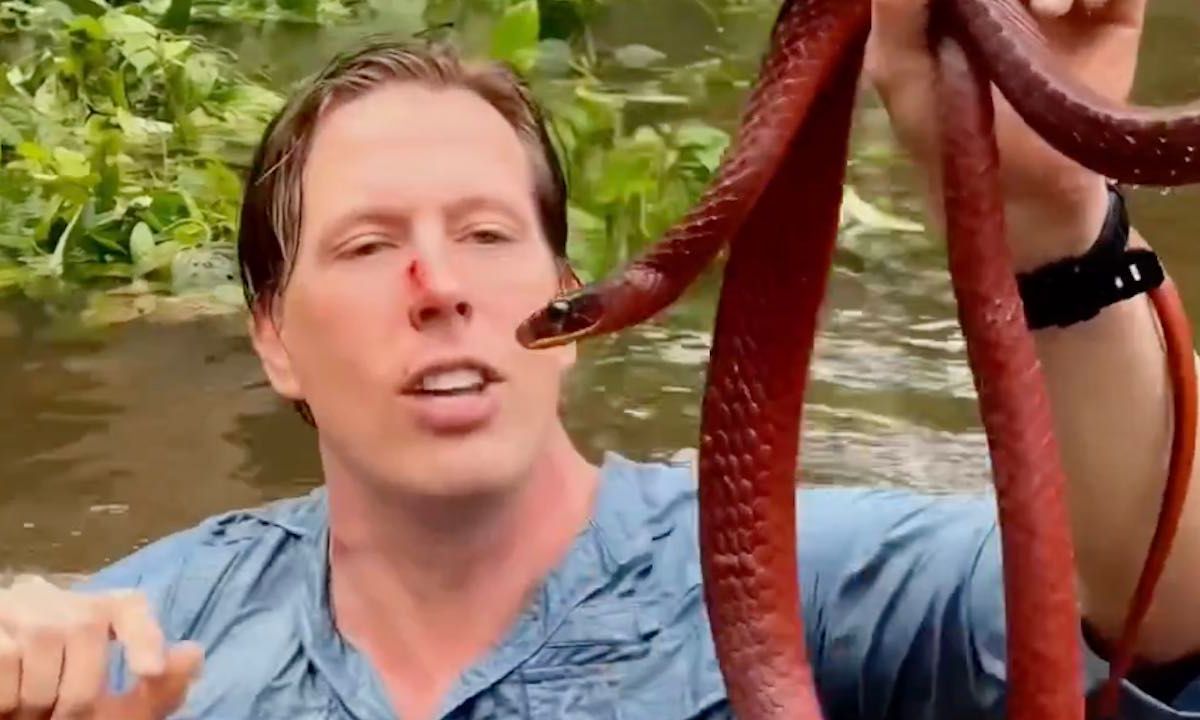 Freek Vonk In Zijn Neus Gebeten Door Een Slang