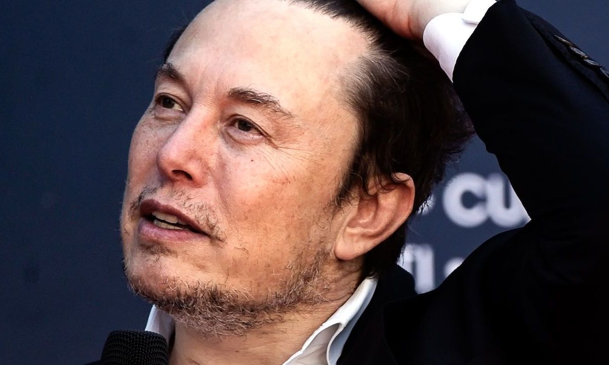 elon musk ai gork