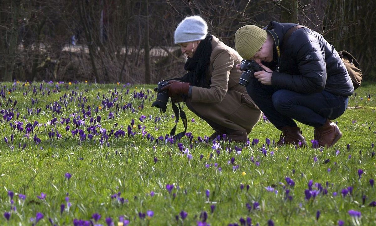 lente record weer waarom warm