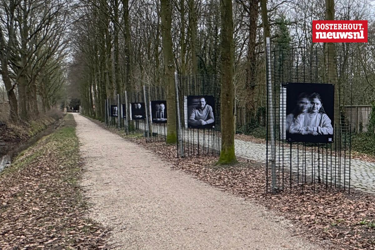 Krachtige beelden vertellen over Verlangen en Voldoening
