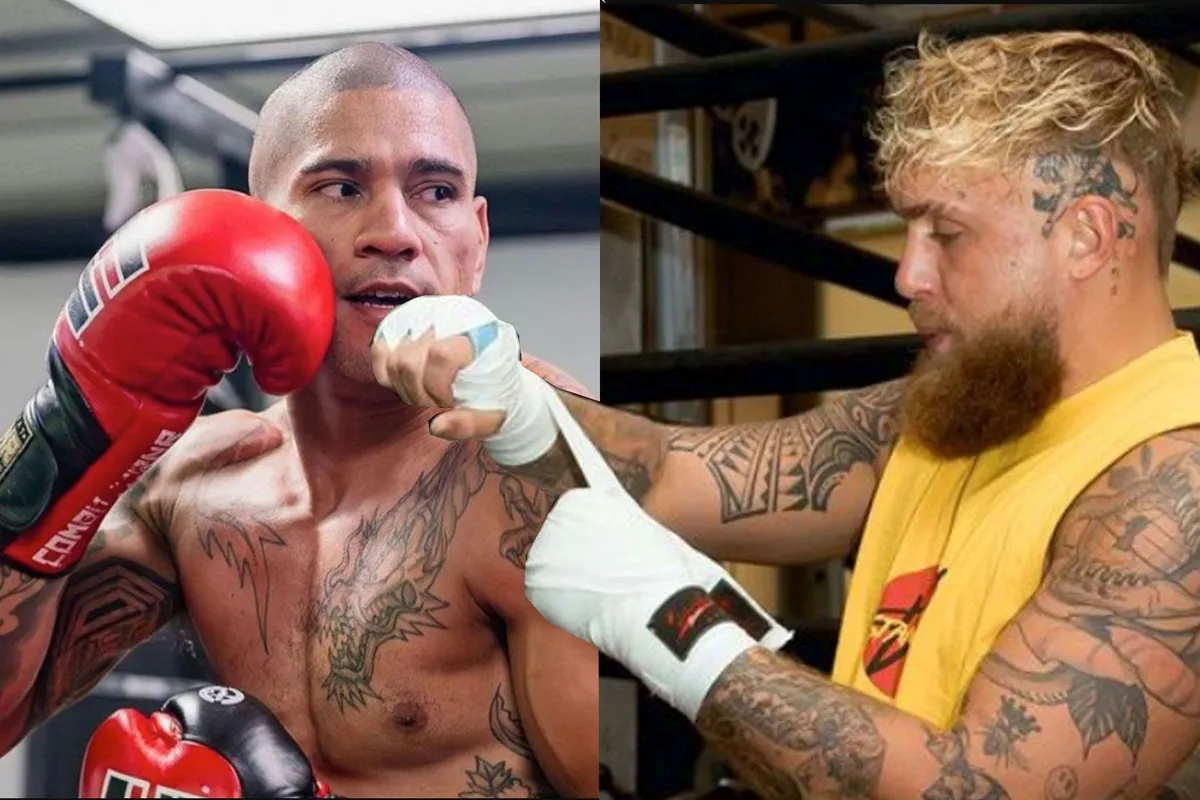 Jake Paul daagt UFC-kampioen Pereira uit! '1000% kans' | Vechtsport info