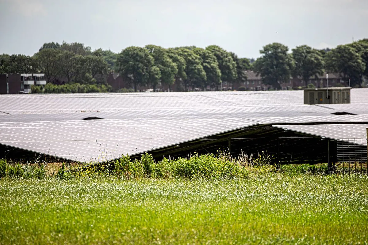 Rechter: Deel zonnepark bij Schiphol moet verdwijnen vanwege verblindingsgevaar voor piloten