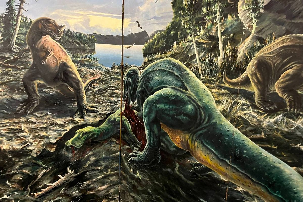 Nieuwe tentoonstelling ‘Dino’s’ in Pieter Vermeulen Museum