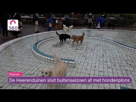 Zwembad De Heerenduinen sluit buitenseizoen af met hondenplons