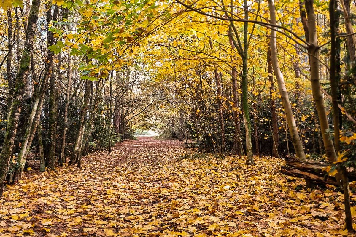 Officieel warmste 5 november ooit