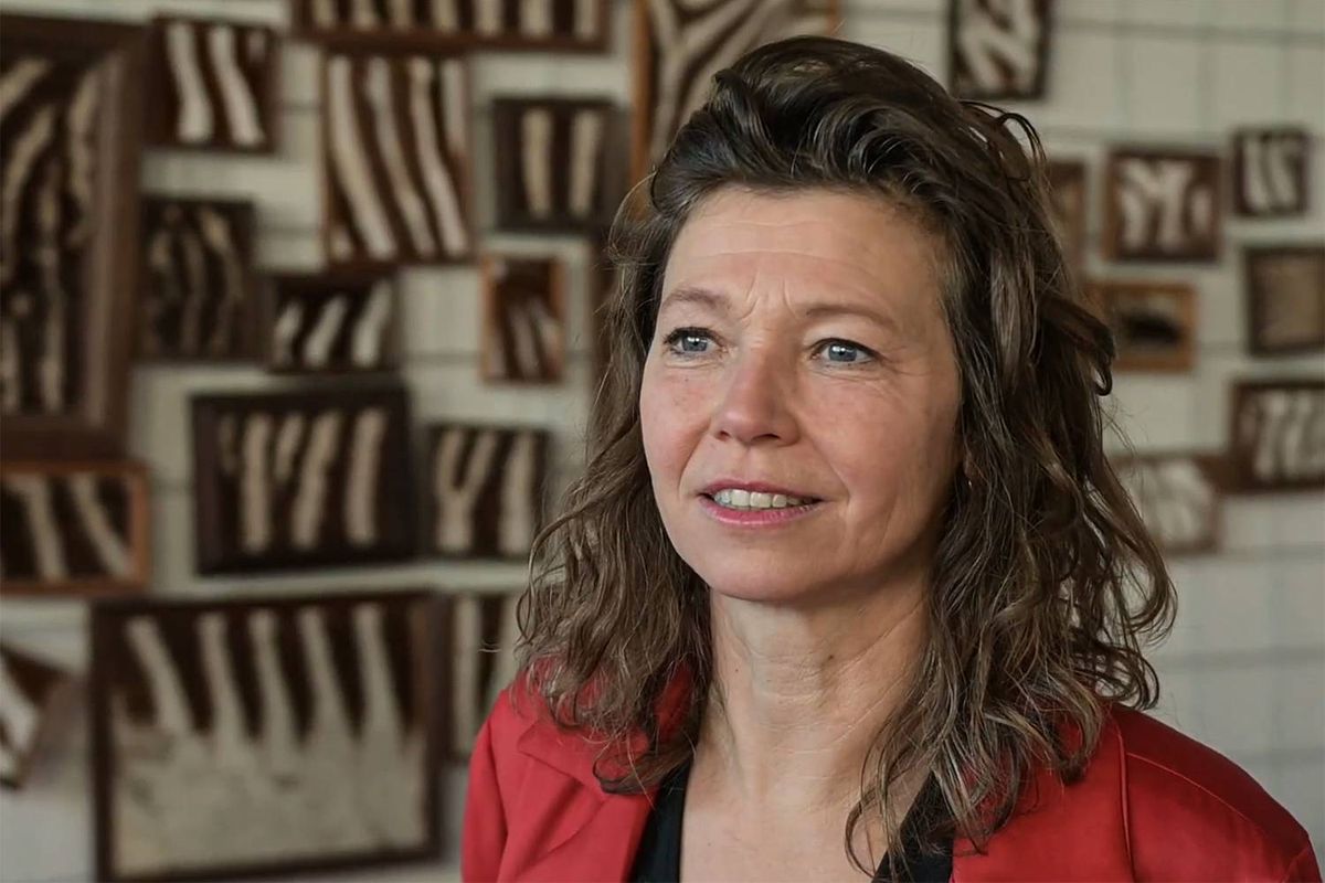 Expositie Bewoonde Wezens: kunstwerken met een leven vóór het kunstwerk