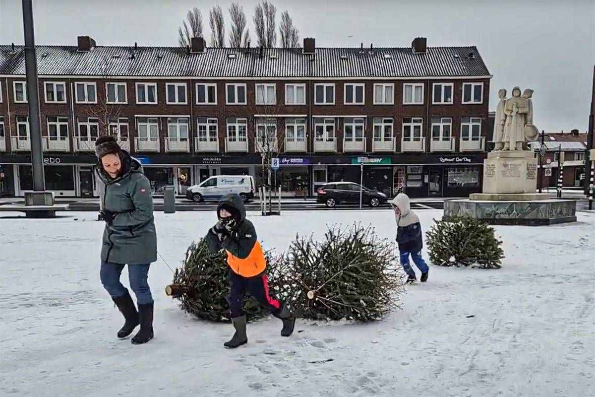 Kerstbomeninzameling Velsen: “De straten snel schoon en kinderen verdienen een zakcentje”