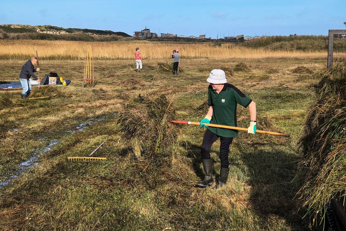 Werkdag in duinen bij Kennemerstrand moet kwetsbare natuur beschermen