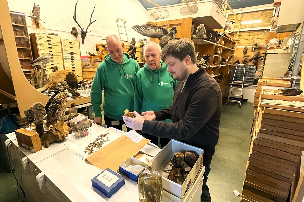 Pieter Vermeulen Museum schenkt bijzondere schimmelcollectie aan Naturalis