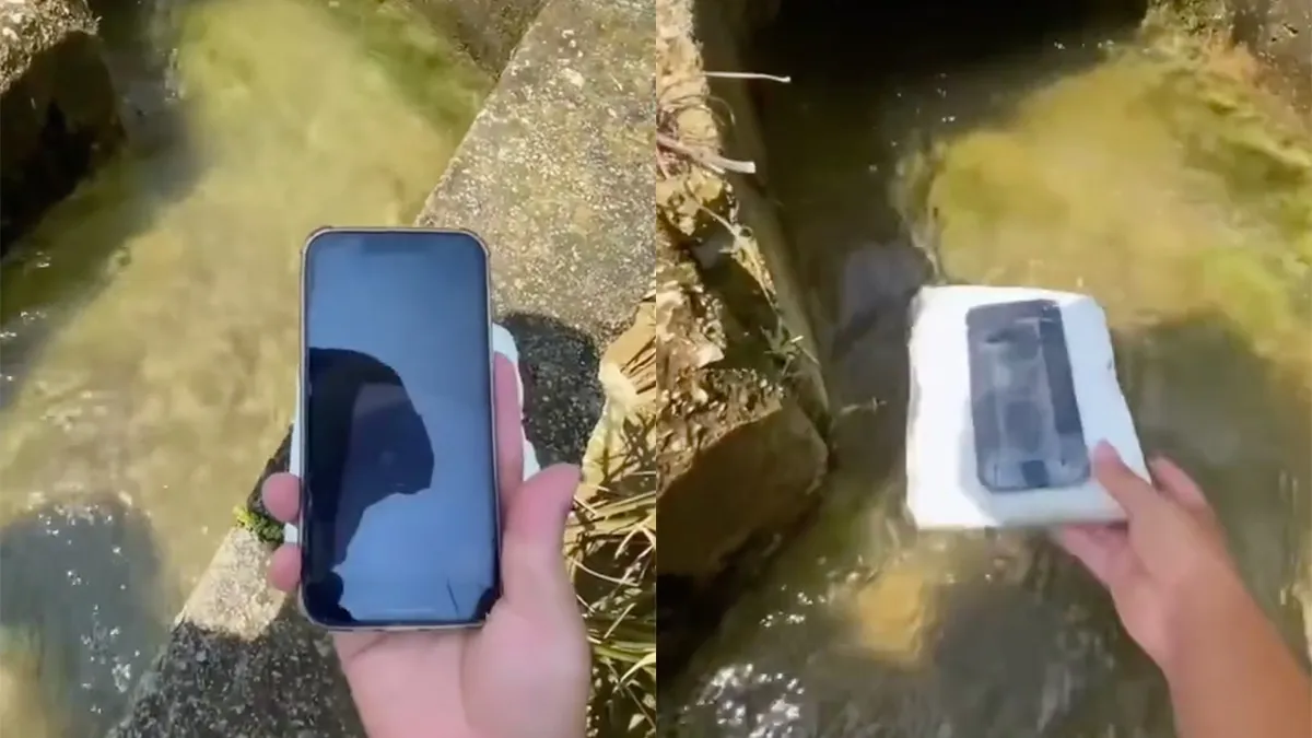 De bedoeling was om mooie beelden met telefoon te maken... Gaat FOUT!