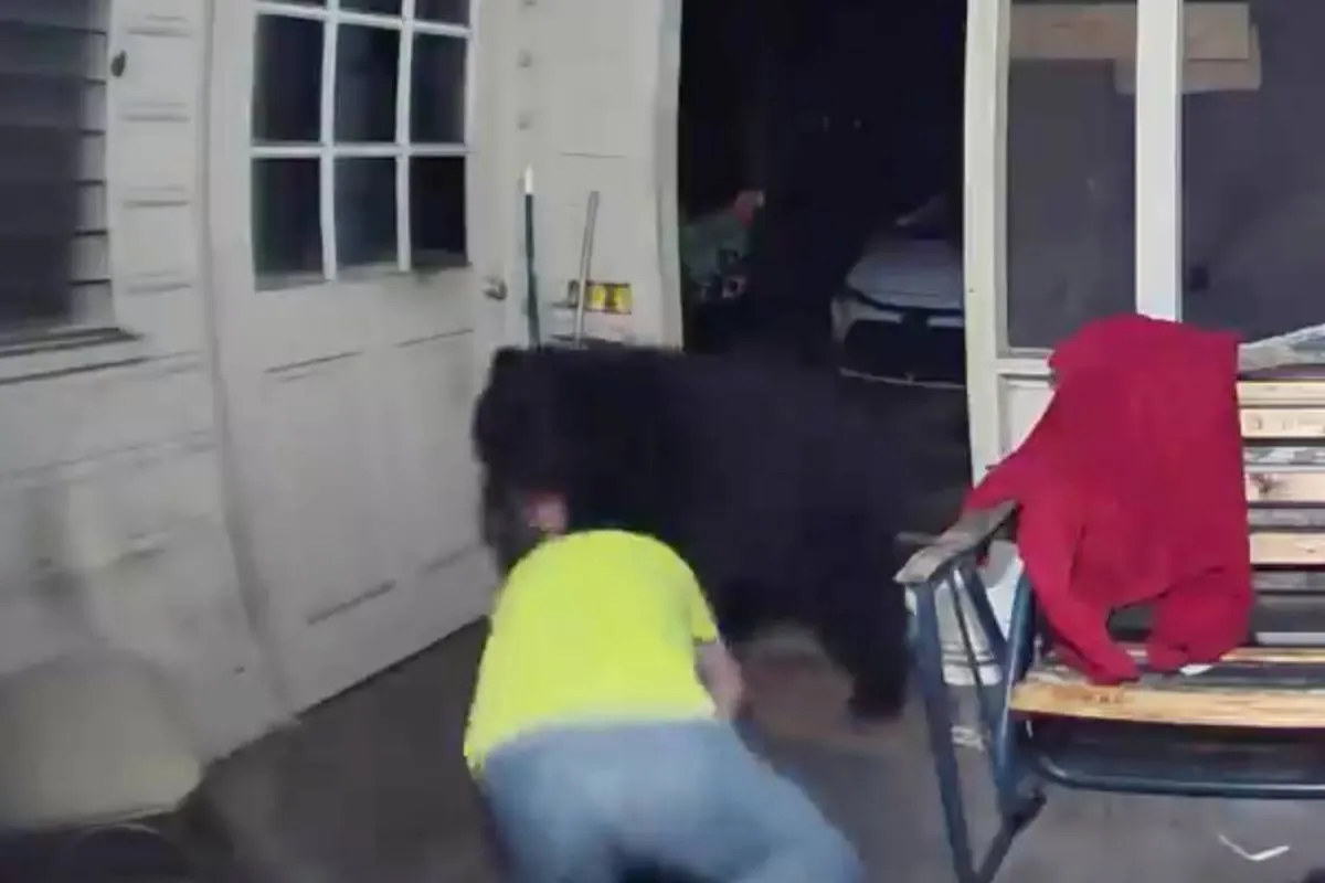 Man redt zijn hond van aanvallende beer in Florida