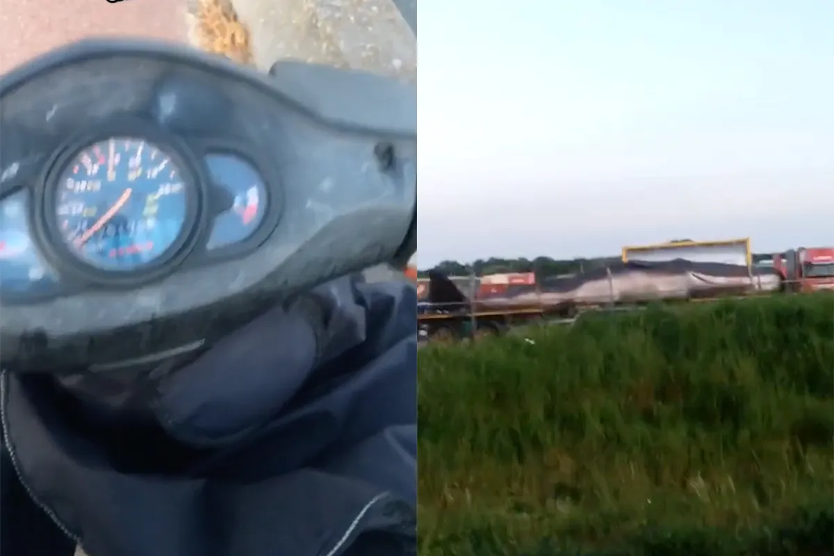 Bezorger in IJmuiden maakt wat mee: Komt walvis tegen