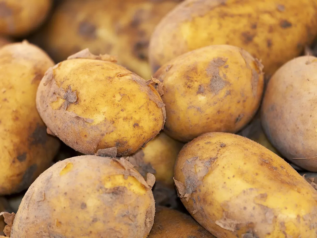 Artsen waarschuwen: 'Stop geen bevroren aardappelen in je achterwerk'