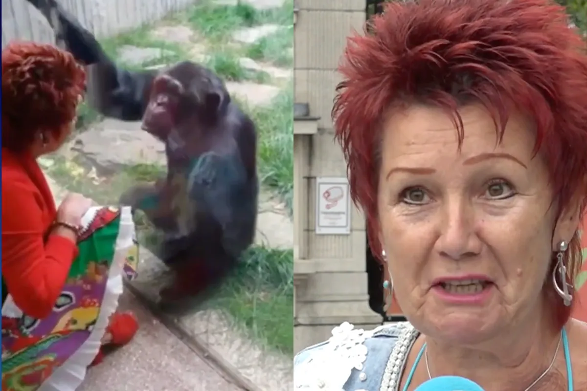 Vrouw die relatie kreeg met aap definitief niet langer welkom in Zoo van Antwerpen