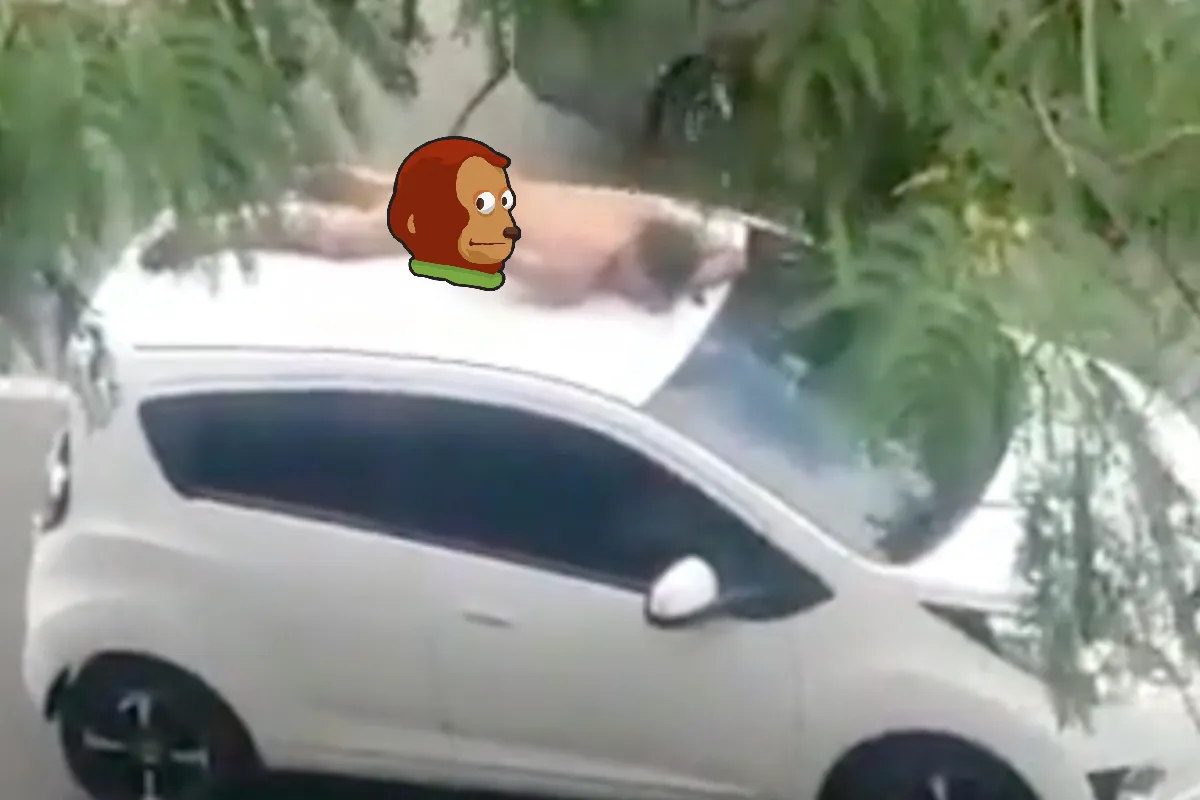 Colombiaan zonder kleding ligt heerlijk op een auto te slapen in Medellin