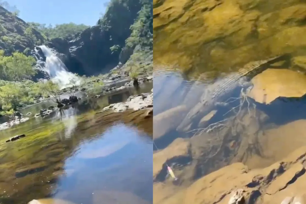 Aussie op Crocs moest in de benen om aanval van echte croc te voorkomen