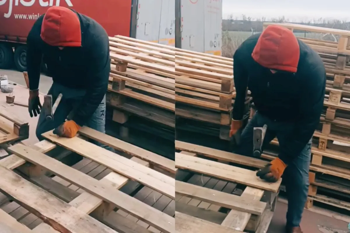 Timmerman doet alsof hij helpende hand krijgt van zijn kleine vriend