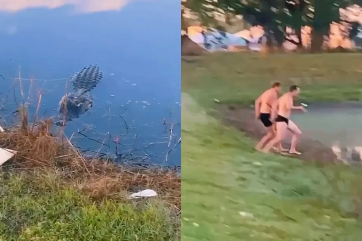 Je maatjes willen zwemmen, maar of dat alligator technische echt een goed idee is…