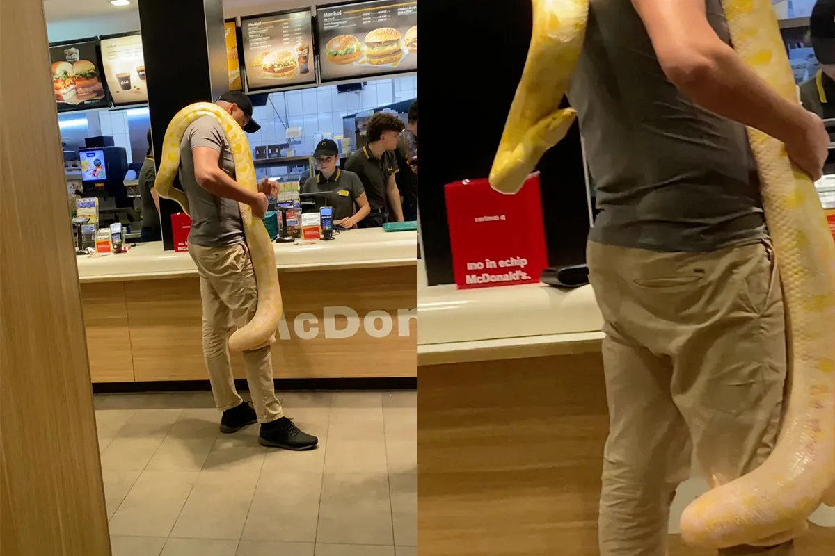 Ondertussen in Roemenië: Met je pootloze vriendinnetje naar de Mac