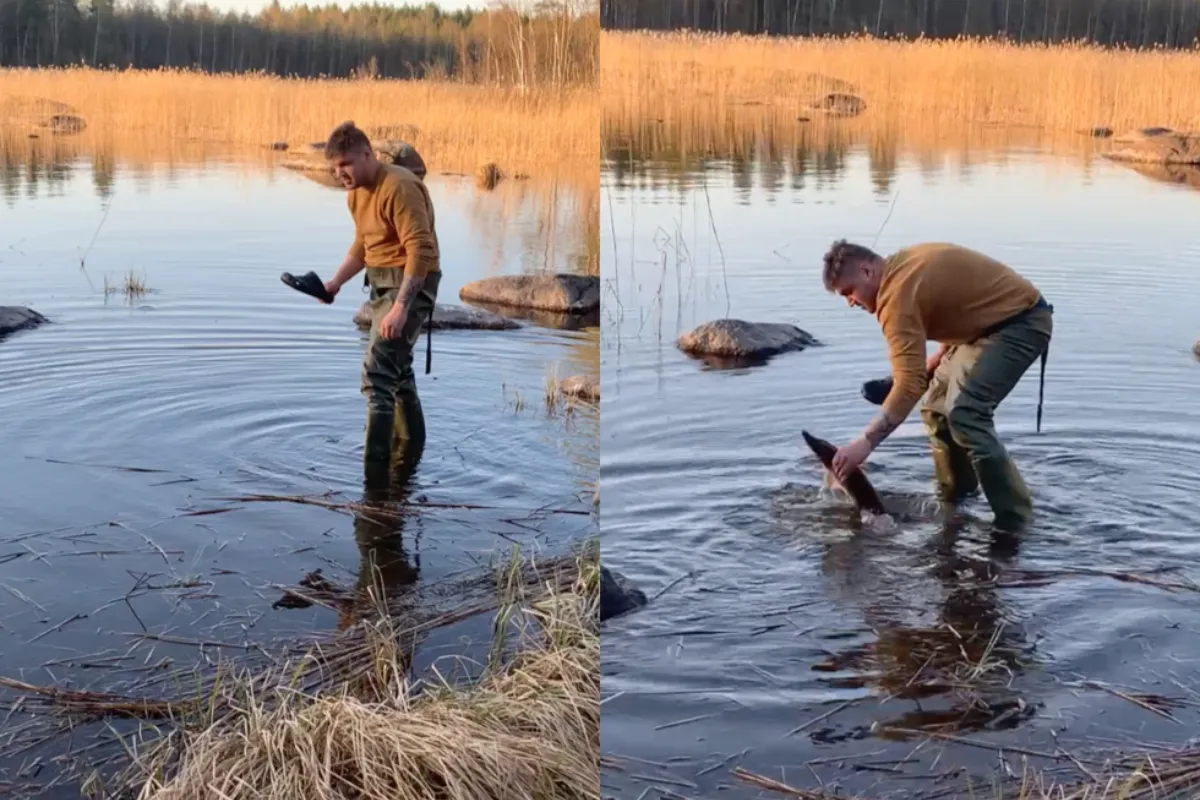 Fin vist succesvol met crocs