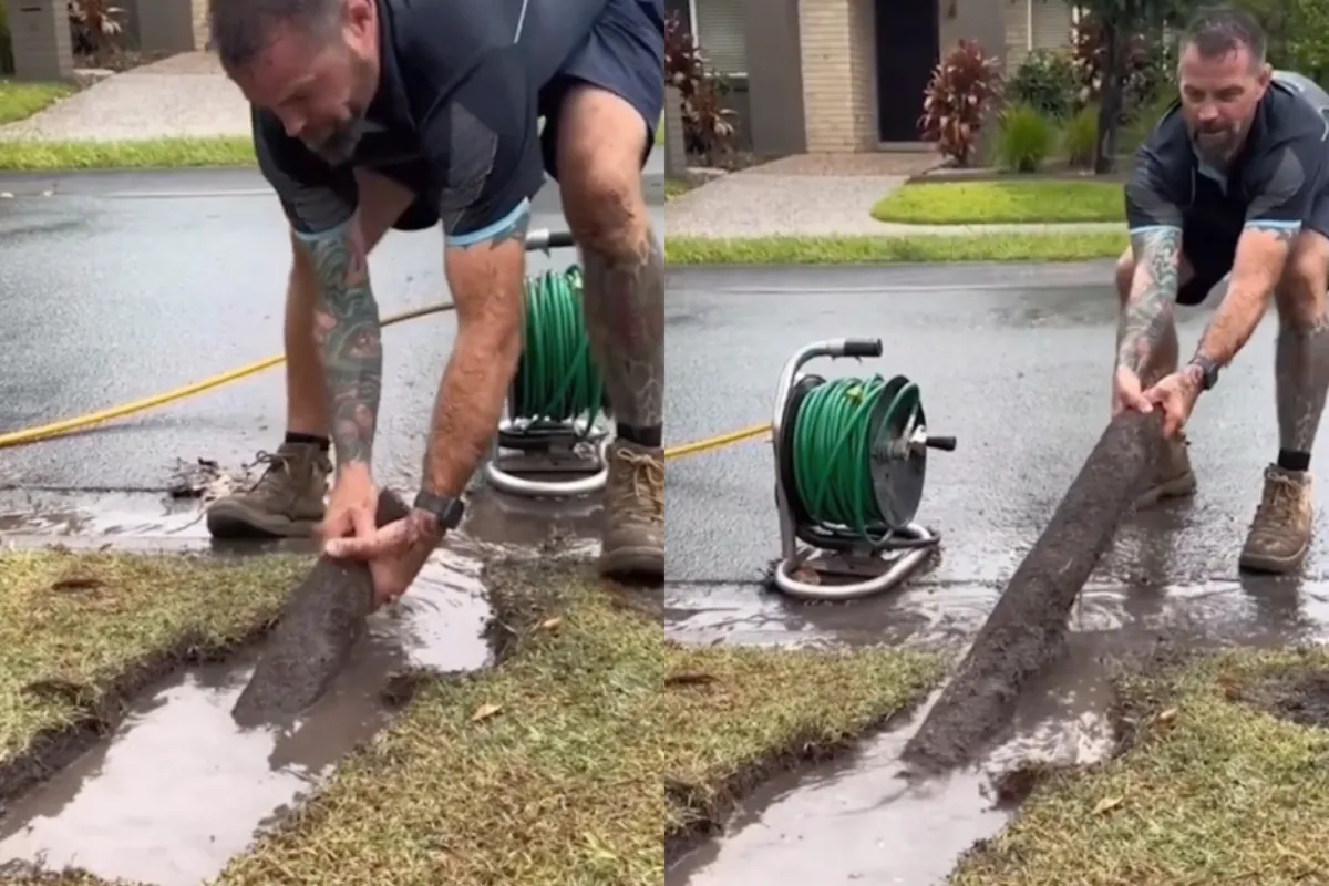 Wortels uit Australische afvoer verwijderen is oddly satisfying