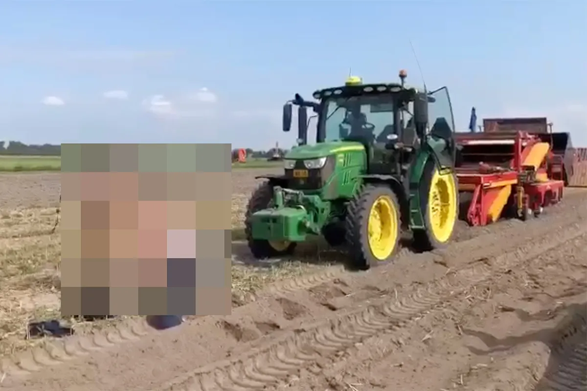 Boer krijgt striptease op het land
