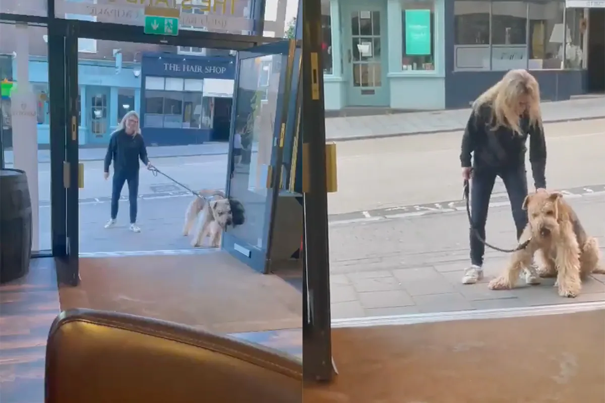 Vrouw laat hond uit en weet dan waarom manlief altijd uren wegblijft