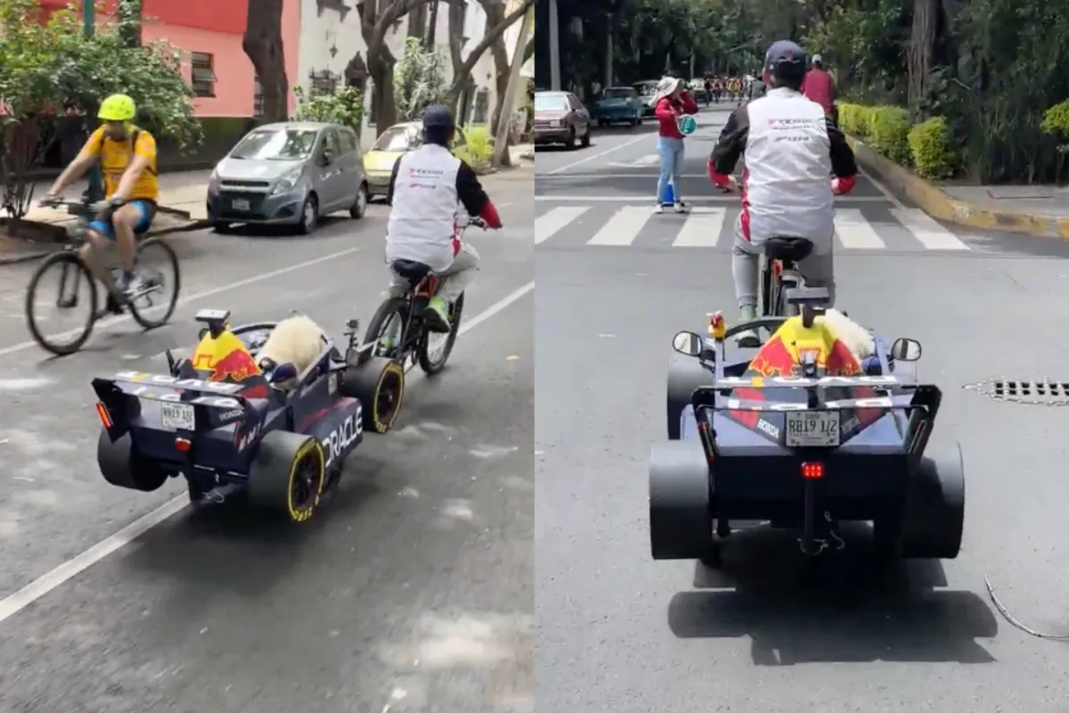 Mexicaanse knutselaar maakt de blits met Red Bull Racing hondenkarretje
