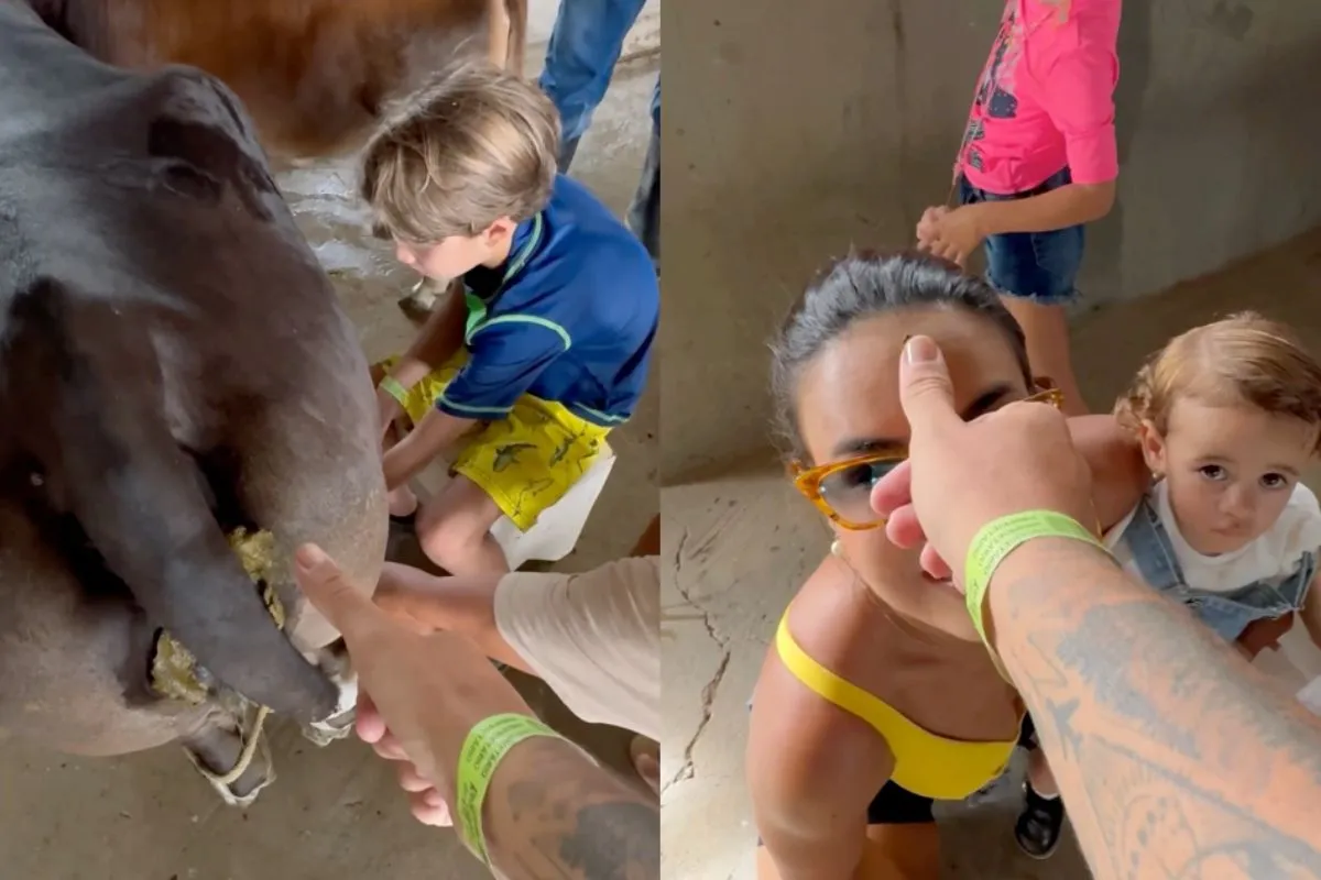 Grappenmaker doet openingsscène The Lion King na op een zeer ranzige wijze
