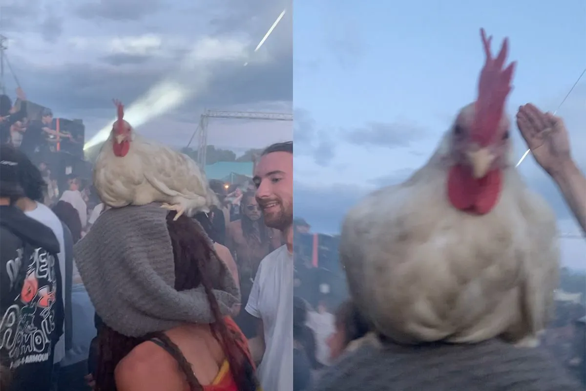 Neem gewoon lekker je kip mee naar een technofestival