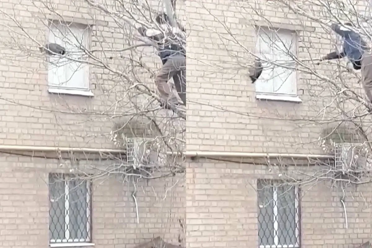 Kat uit de boom halen doe je dus niet zo