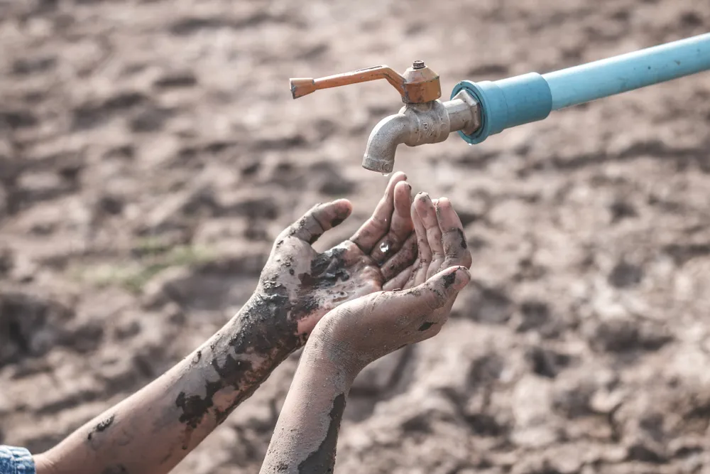 Watertekort in Nederland? Drinkwaterbedrijven bezorgd over enorm hoge watervraag