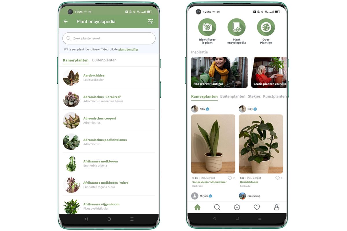 App van de Week: Plantigo, een duurzame Marktplaats voor planten