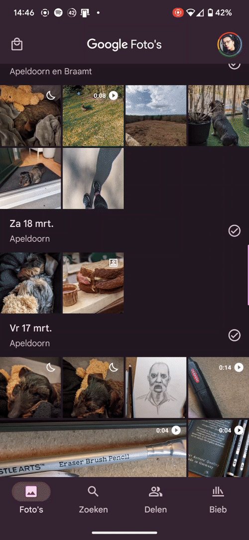 Google Foto's-tip: zo gebruik je portretvervaging in je foto's