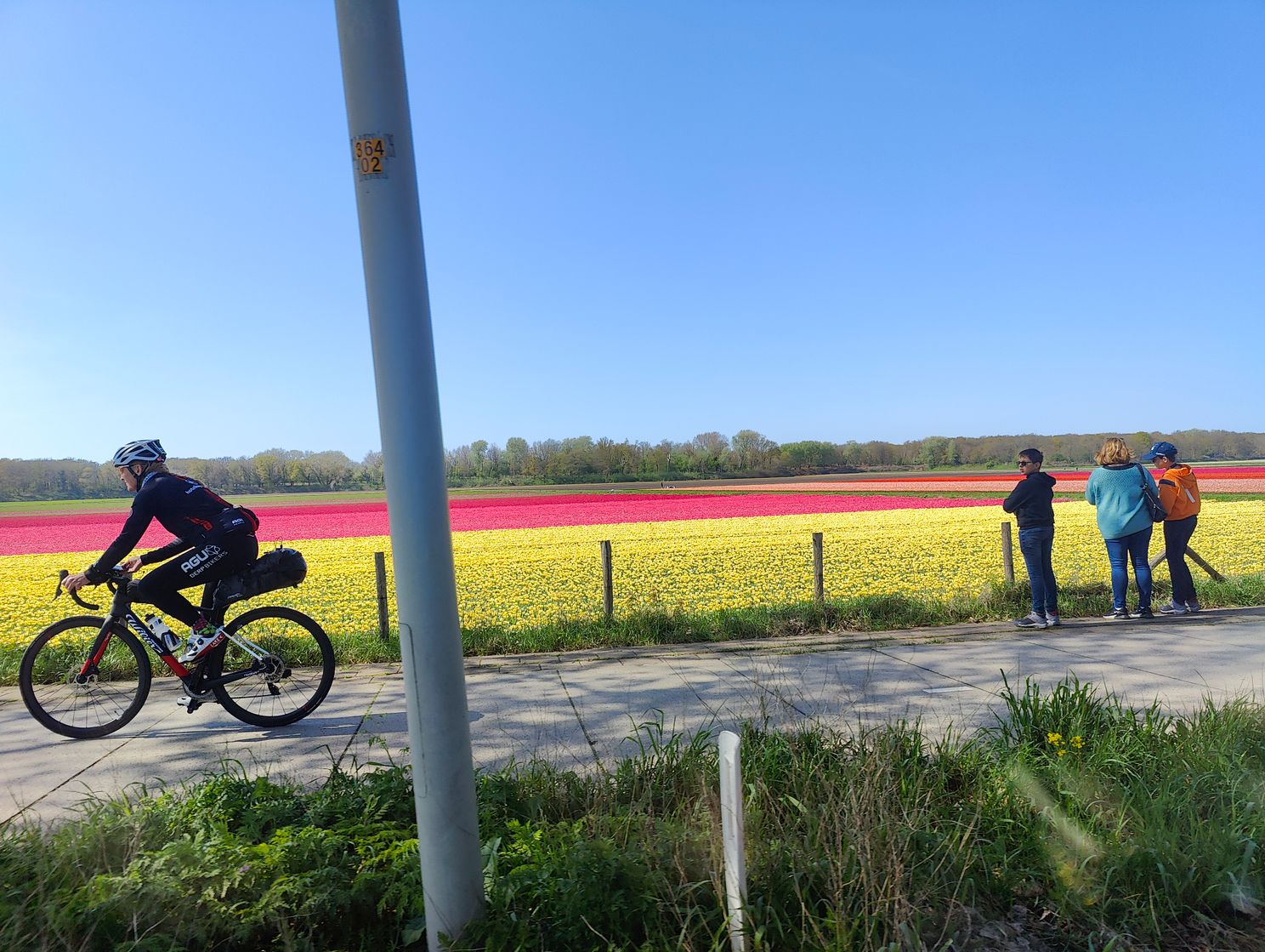 Het is dat er mooie bollenvelden te zien zijn, maar waar gaat deze fietser naartoe?