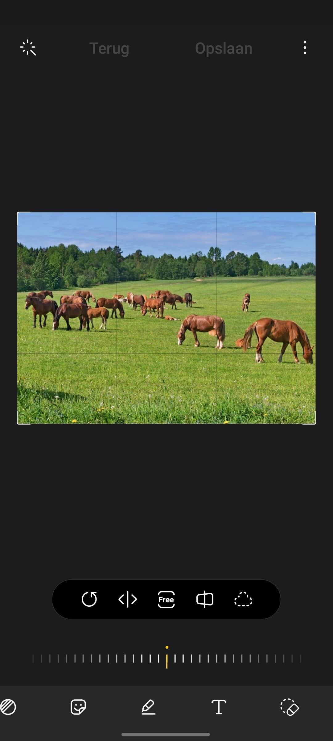 Samsung One UI 3.1-tip: objecten uit een foto verwijderen in de Galerij-app
