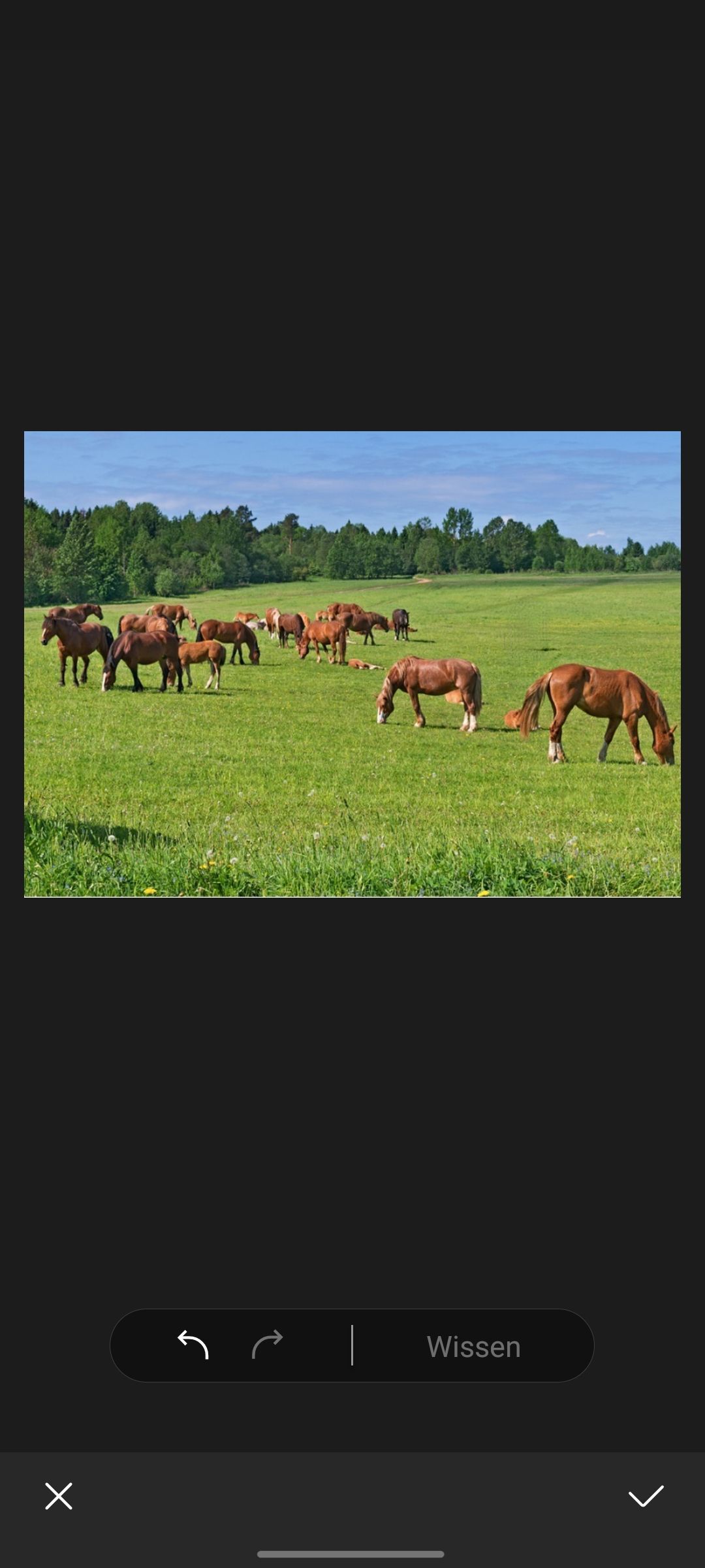 Samsung One UI 3.1-tip: objecten uit een foto verwijderen in de Galerij-app