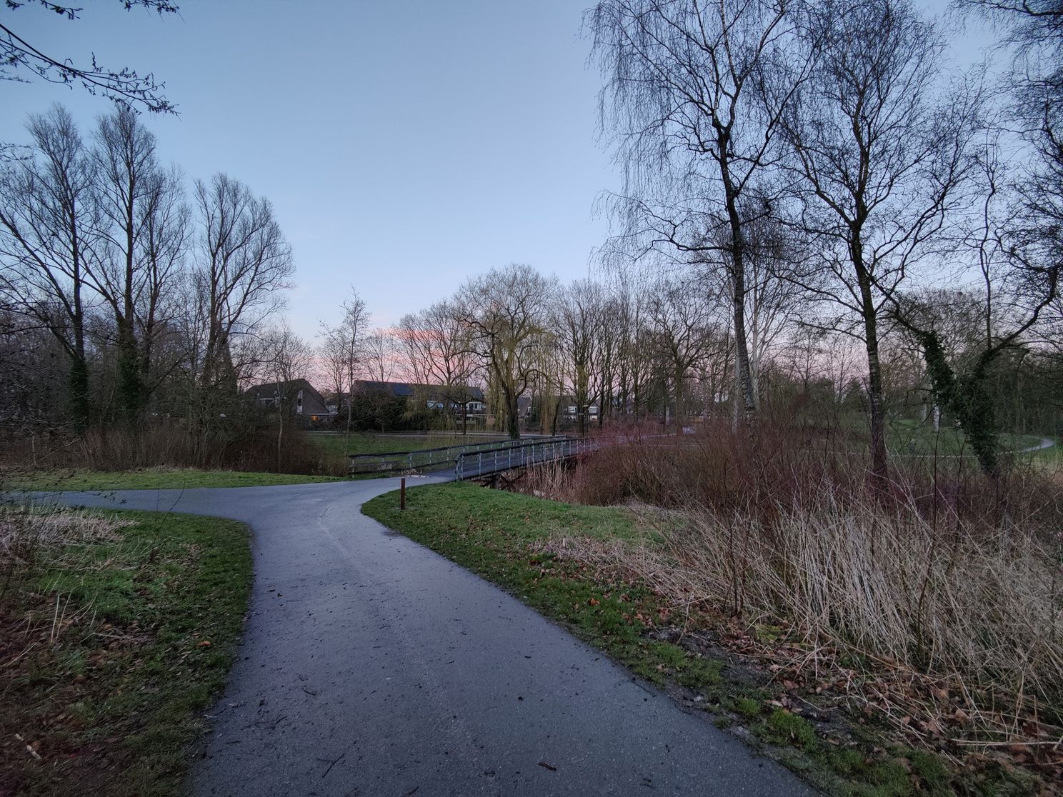 OnePlus 9 Pro review: eindelijk krijgen de camera's de aandacht die ze verdienen