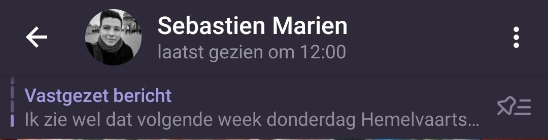 Meerdere berichten in een chat vastgezet