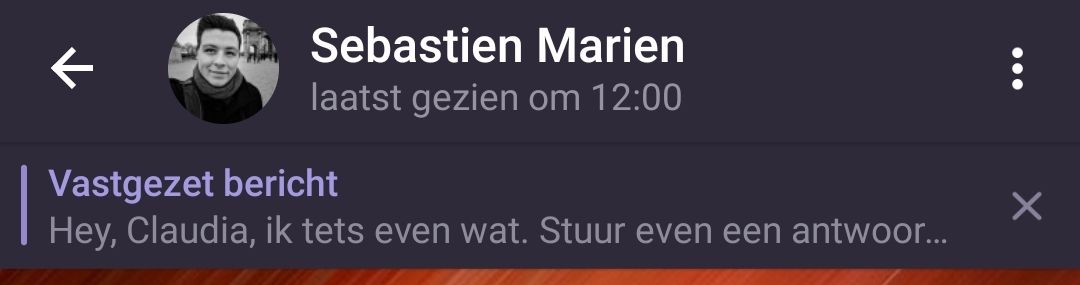 Een bericht in een chat vastgezet