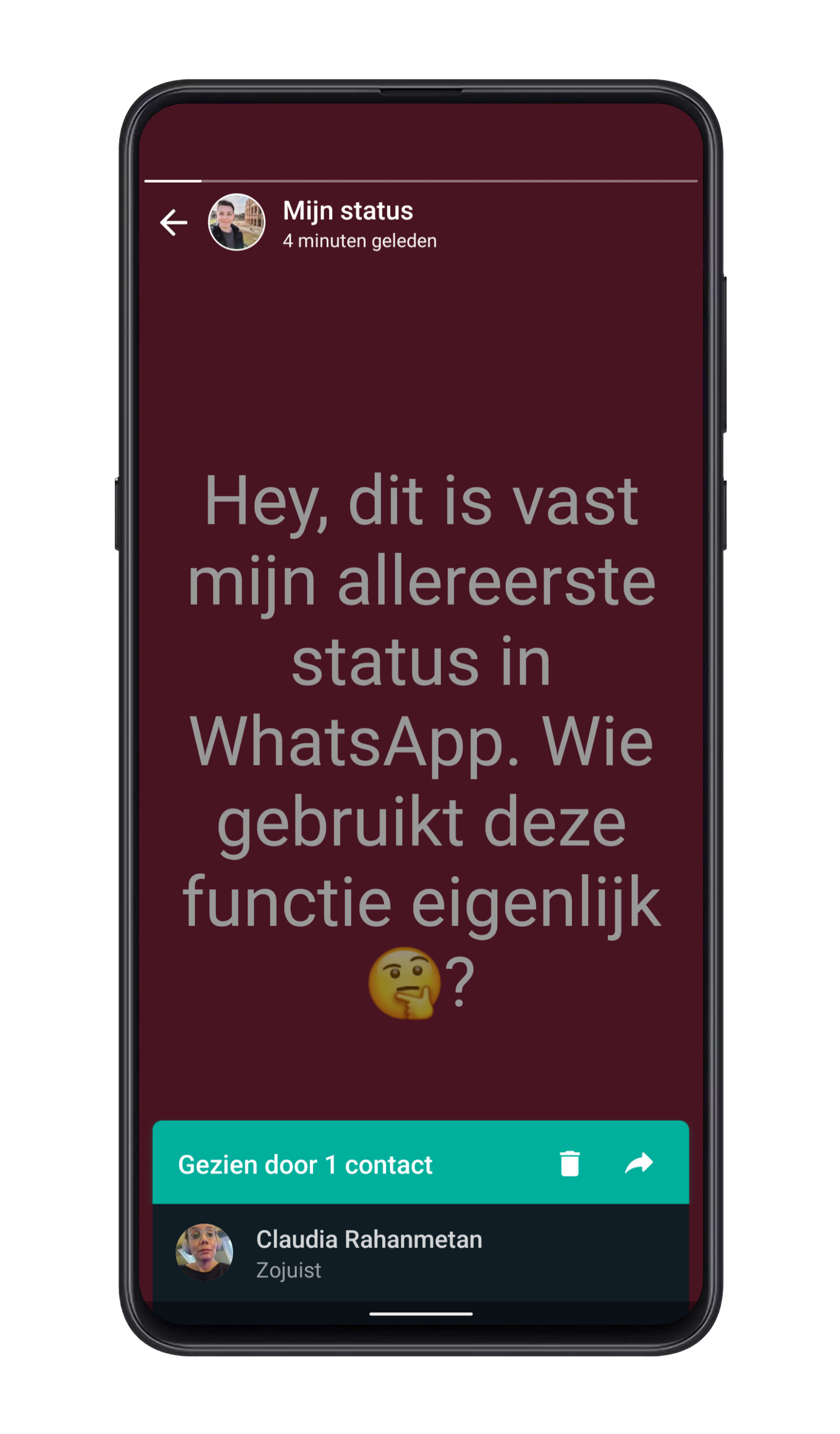 Onderaan de status kan je zien wie hem heeft bekeken