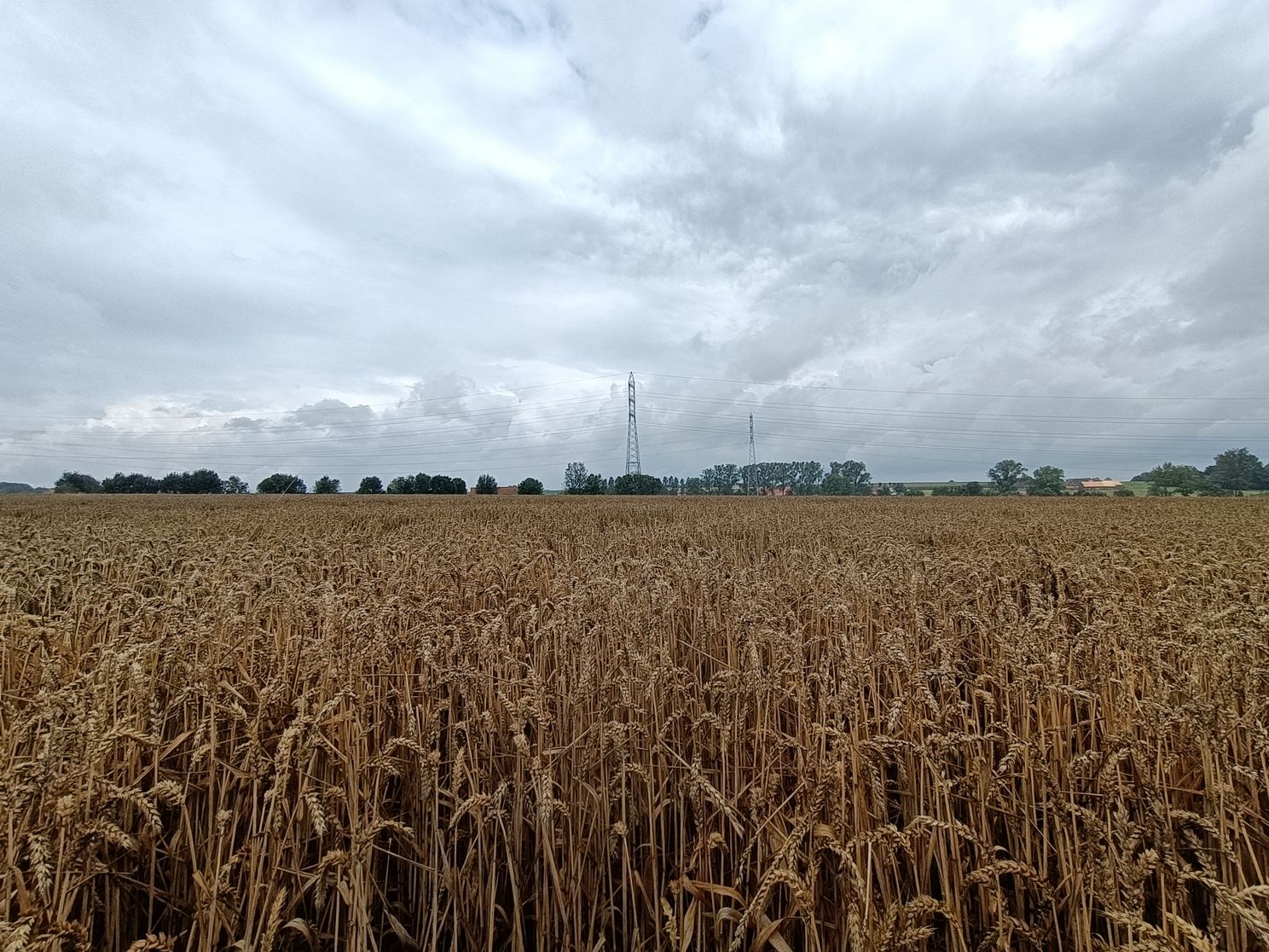 OPPO A94 review: kleurrijke telefoon legt een paar accenten