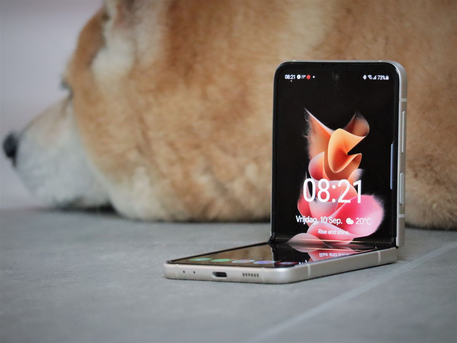 Samsung Galaxy Z Flip 3 review: een verhaal over liefde?