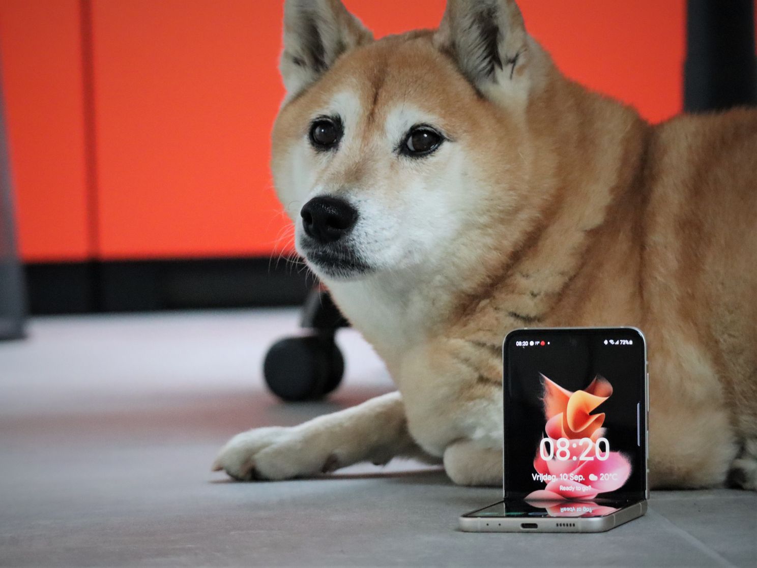 Samsung Galaxy Z Flip 3 review: een verhaal over liefde?