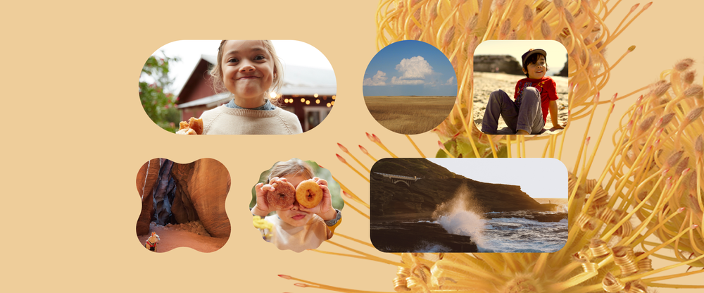 Google Foto's widgets