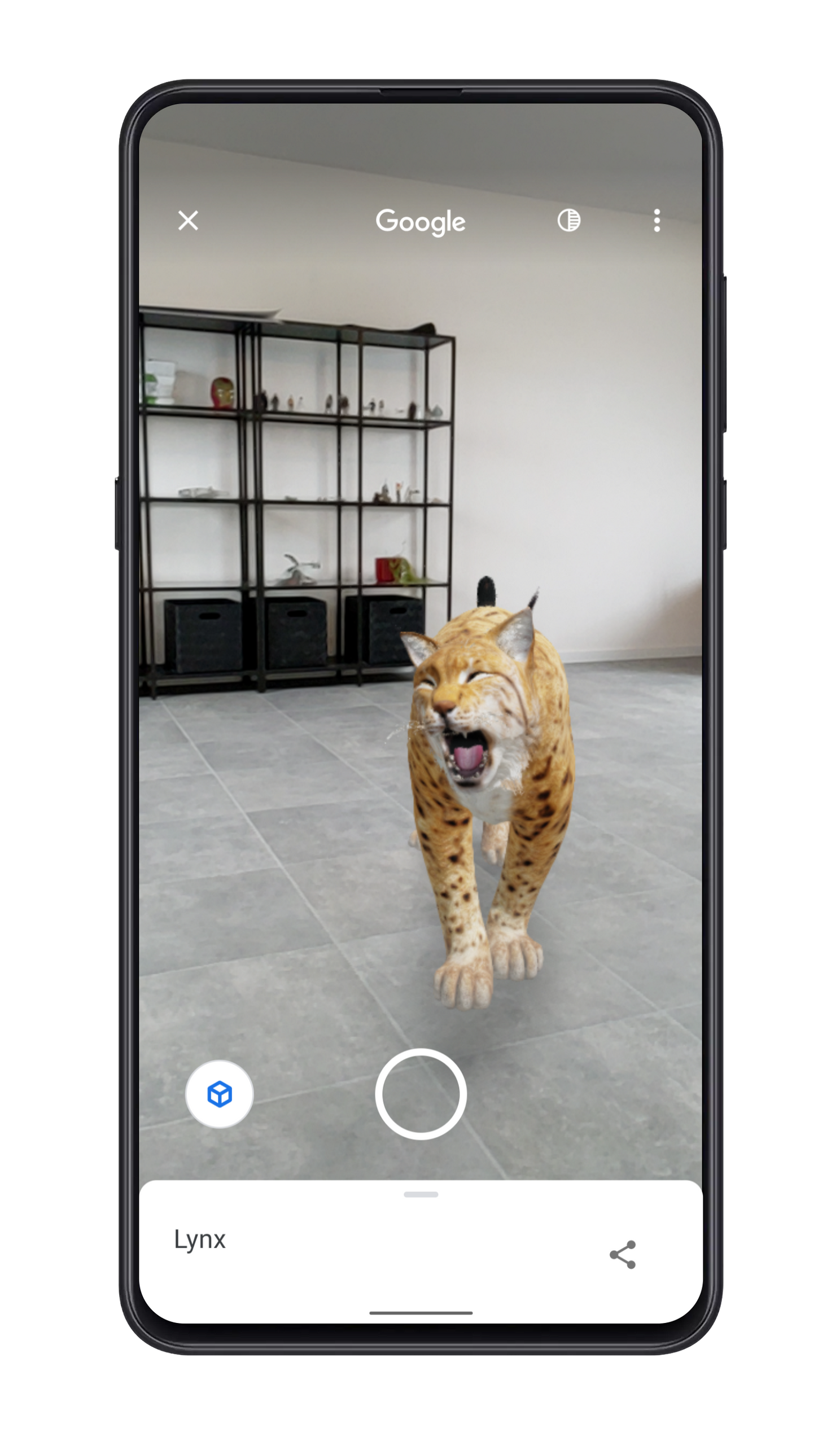 Google plaatst 5 bedreigde dieren in 3D in je huis, zo bekijk je ze