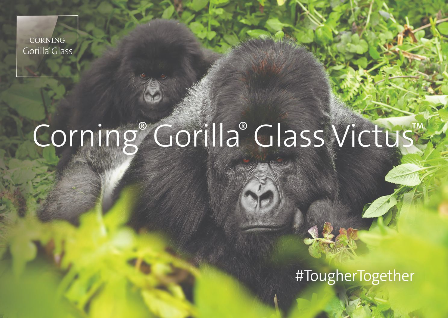 Gorilla Glass uitgelegd: de wrijving tussen kras en barst