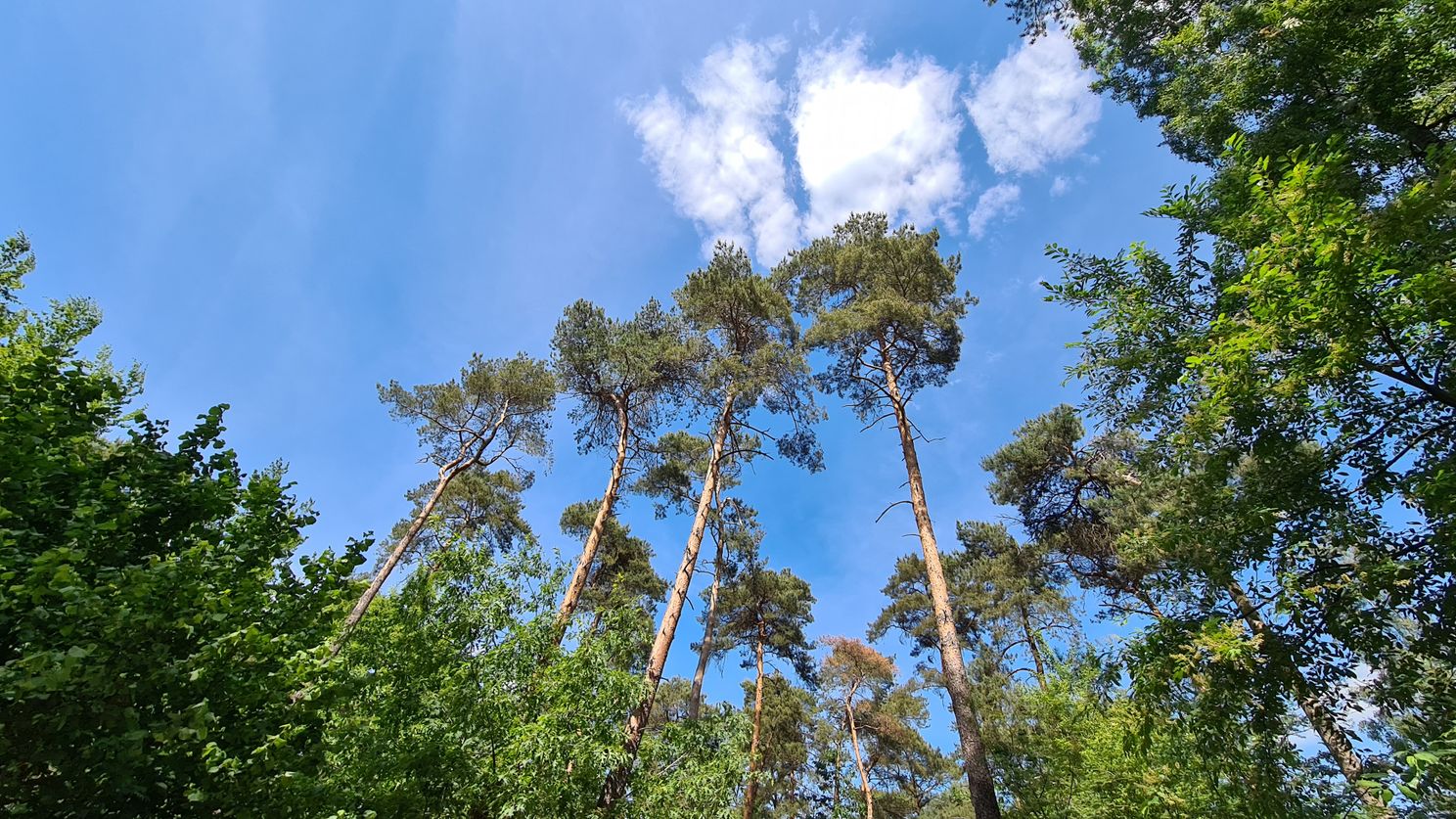 Samsung Galaxy S20 Plus 5G review: de middelste is de beste?