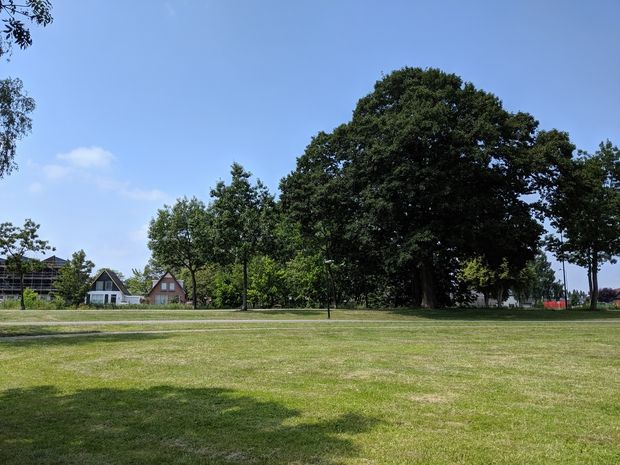 Google Pixel 3a review: de magische camera is nu ook betaalbaar