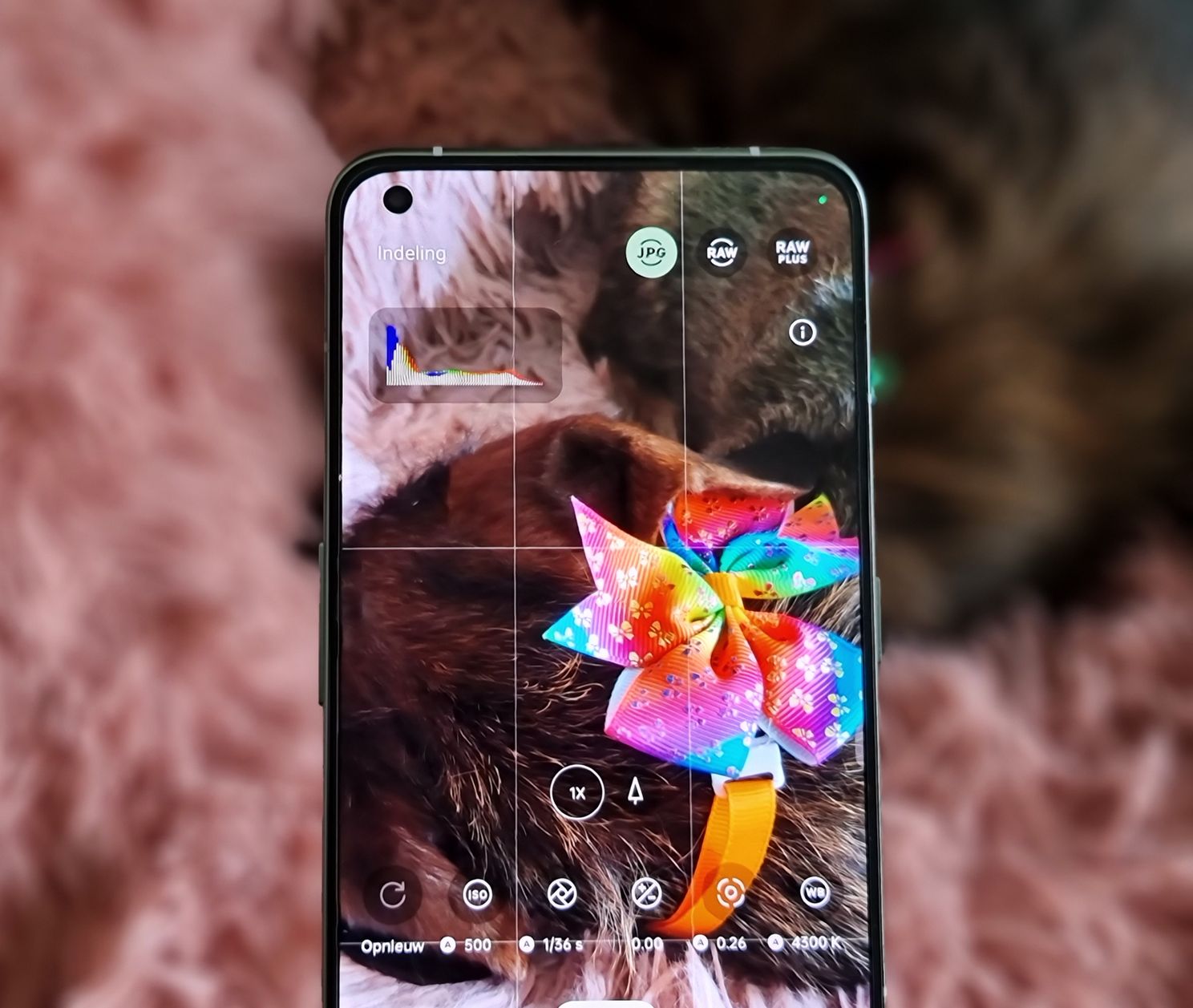 Pro-modus in de camera-app ondersteunt RAW
